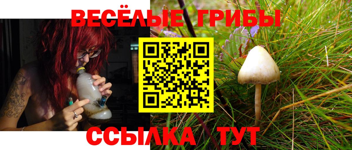 Псилоцибиновые грибы GOLDEN TEACHER Сарапул